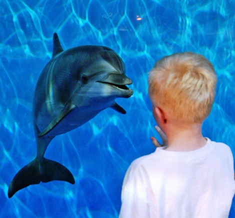 DOLPHINA with kid pg 10