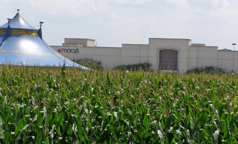 jamestown mall corn pg1
