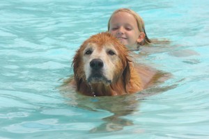 Chase,Aly_dog_pool_party Chase,Aly_dog_pool_party