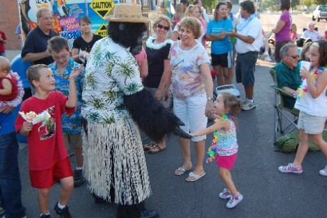 gorilla gorilla